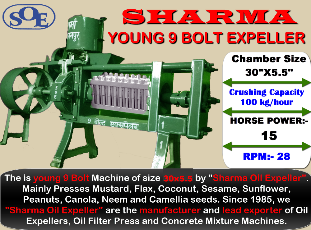 papa 9 bolt young first frame 1000x1000 1